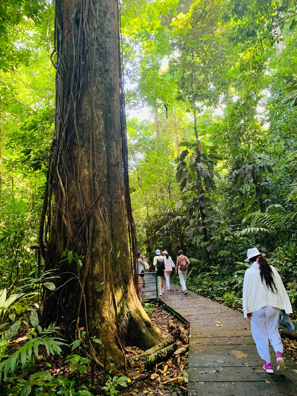 Tortuguero WhatsApp Image 2025-12-06 at 11.40.46 AM (2)